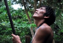 El sanador que conversa con las plantas