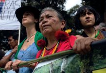 Nuevas Amazonas: Alicia Cahuiya y la lucha de las mujeres amazónicas